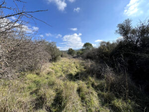 Lire la suite à propos de l’article Terrain 691m2 – La Bouilladisse